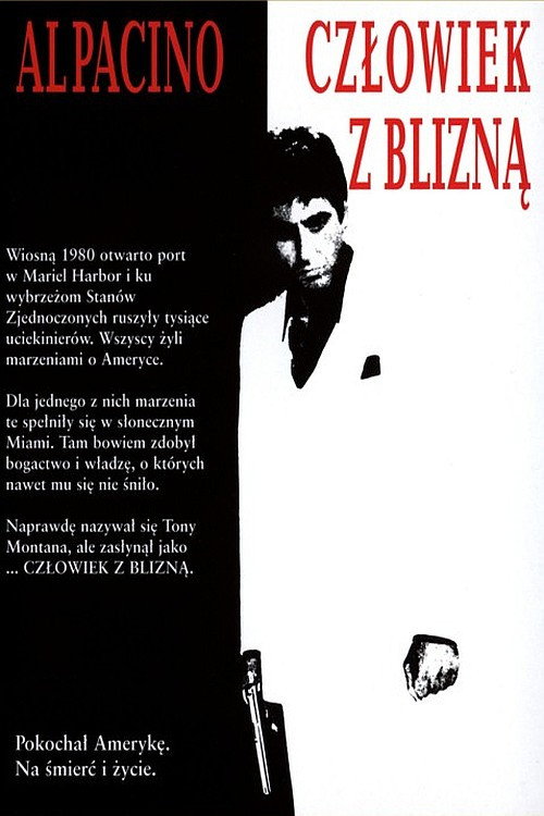 7 vidas