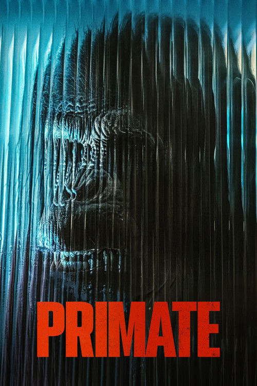 Primata