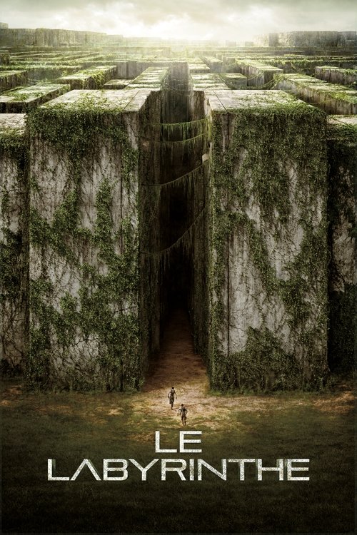 L'épreuve : Le labyrinthe