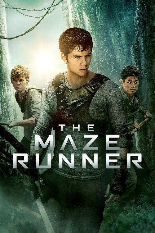 Maze Runner - Il labirinto