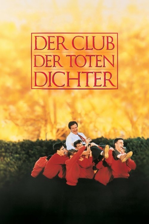Der Bär im großen blauen Haus
