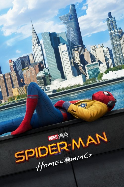 Spider-man : Les retrouvailles